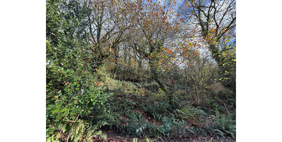 Quicks Cottage, 5 Northmoor Road, Dulverton, TA22 9DF