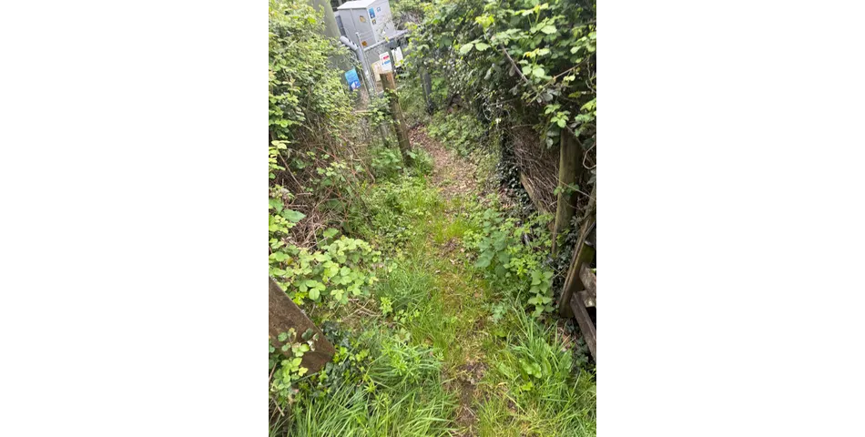 Land off Redwood Road, Sidmouth, EX10 9AB